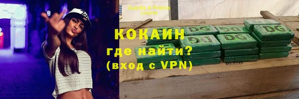 сатива Арсеньев