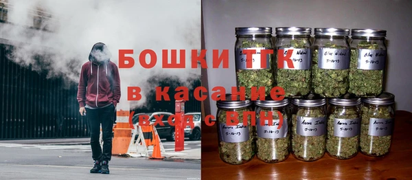 винт Аркадак