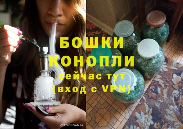 сатива Арсеньев