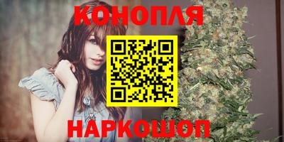 apvp Тулун
