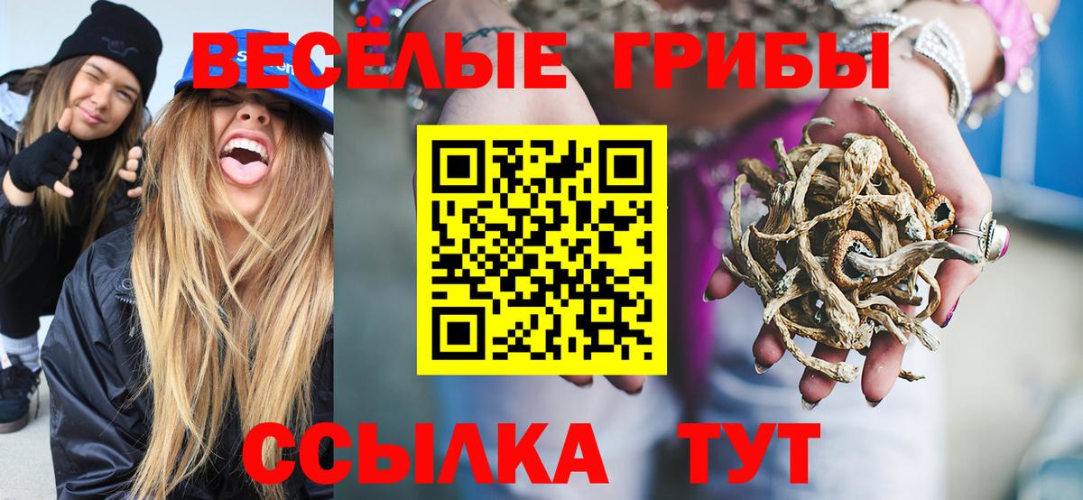 Псилоцибиновые грибы ЛСД  Вход с VPN  Шуя 