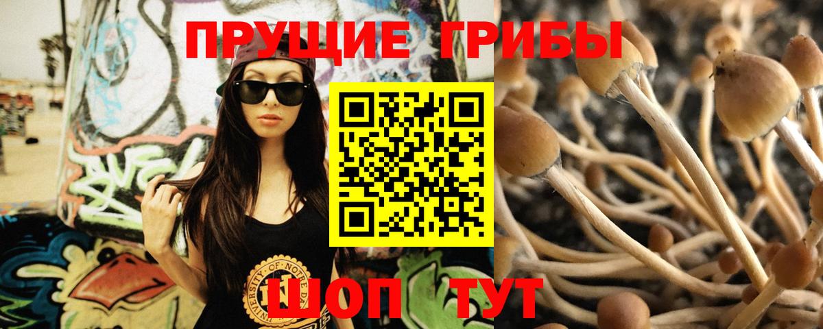 Псилоцибиновые грибы ЛСД Шуя