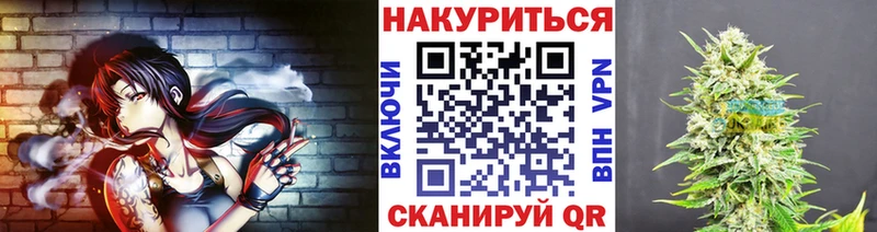 Марихуана сатива  гидра tor  Шуя 